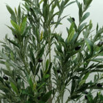 OLIVE TREE ΔΕΝΤΡΟ ΤΕΧΝΗΤΟ ΣΕ ΓΛΑΣΤΡΑ 180cm ΥΦΑΣΜΑ ΠΡΑΣΙΝΟ PVC 031321 - Image 2