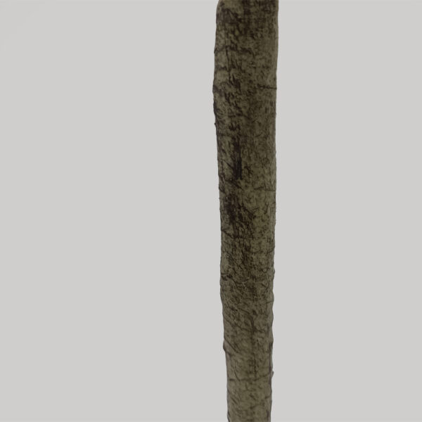 OLIVE TREE ΔΕΝΤΡΟ ΤΕΧΝΗΤΟ ΣΕ ΓΛΑΣΤΡΑ 180cm ΥΦΑΣΜΑ ΠΡΑΣΙΝΟ PVC 031321 - Image 3