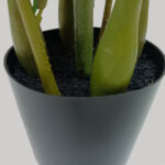 ZAMIA ΦΥΤΟ ΤΕΧΝΗΤΟ ΣΕ ΓΛΑΣΤΡΑ 85cm ΥΦΑΣΜΑ ΠΡΑΣΙΝΟ PVC 031325 - Image 4