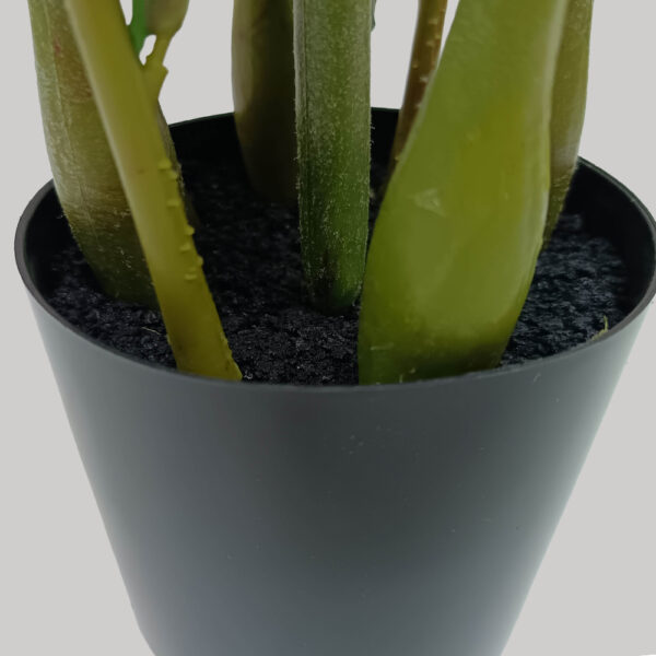 ZAMIA ΦΥΤΟ ΤΕΧΝΗΤΟ ΣΕ ΓΛΑΣΤΡΑ 85cm ΥΦΑΣΜΑ ΠΡΑΣΙΝΟ PVC 031325 - Image 4