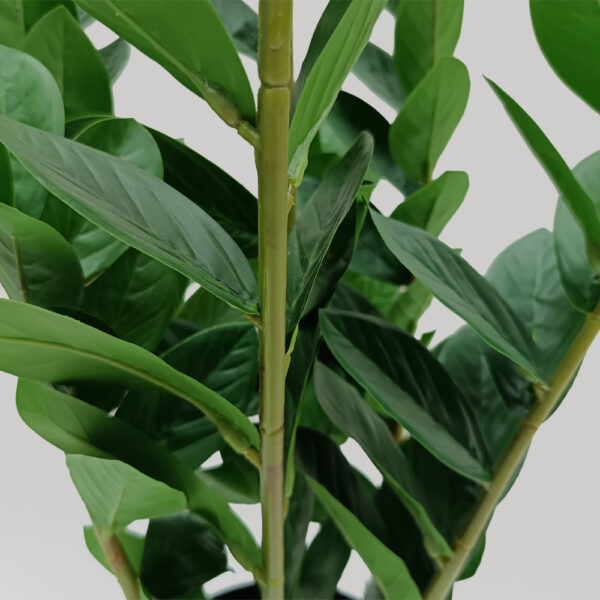 ZAMIA ΦΥΤΟ ΤΕΧΝΗΤΟ ΣΕ ΓΛΑΣΤΡΑ 95cm ΥΦΑΣΜΑ ΠΡΑΣΙΝΟ PVC 031326 - Image 2