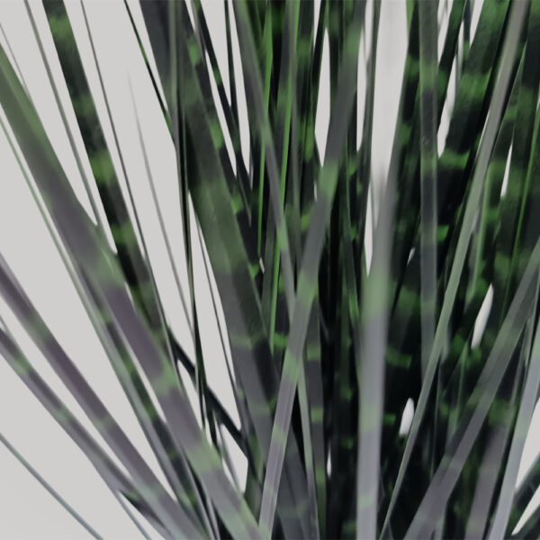 DARK PURE GRASS ΦΥΤΟ ΤΕΧΝΗΤΟ ΣΕ ΓΛΑΣΤΡΑ 68cm PVC ΠΡΑΣΙΝΟ ΣΚΟΥΡΟ 031340 - Image 2